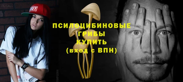 ПСИЛОЦИБИНОВЫЕ ГРИБЫ Аркадак