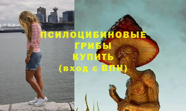 ALPHA-PVP Армянск